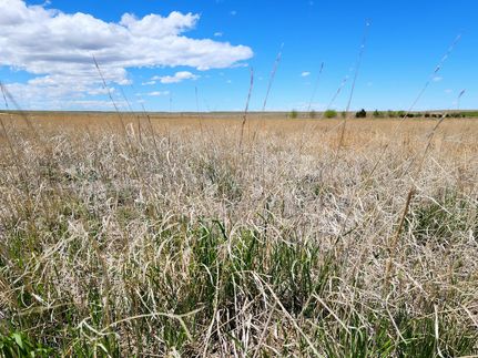 Land in Kimball County, Nebraska