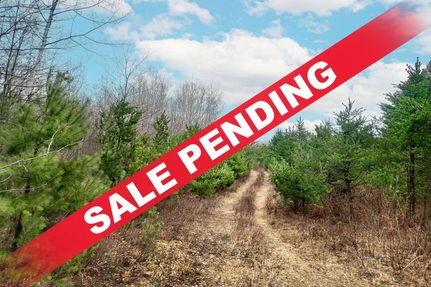 Undeveloped Land in Oneida County, Wisconsin