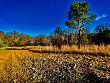 Farm and Ranch for sale in Fayette County, Tennessee