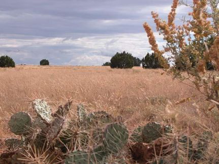 Riverfront Property in Navajo County, Arizona