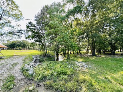 Undeveloped Land in Montgomery County, Texas