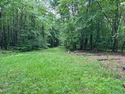 Undeveloped Land in Venango County, Pennsylvania