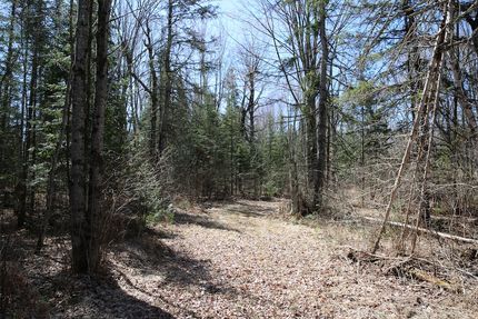 Undeveloped Land in Price County, Wisconsin