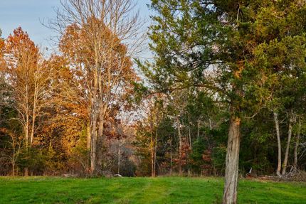 Undeveloped Land in Anderson County, Texas
