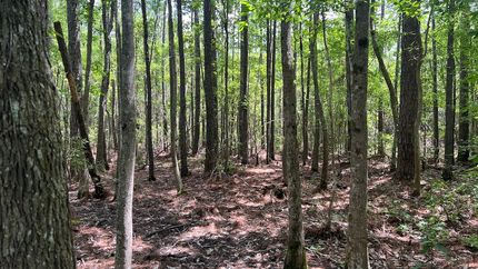 Recreational Property in Jackson County, Mississippi
