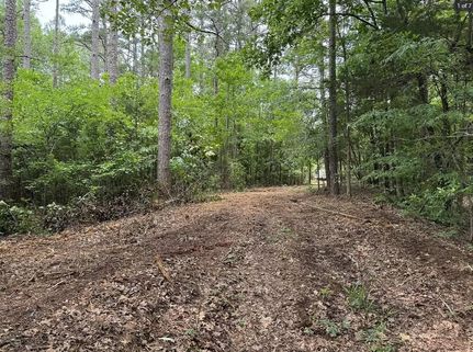 Farm and Ranch in Hardeman County, Tennessee