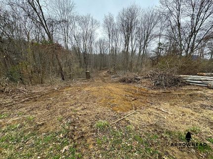 Timberland Property in Athens County, Ohio
