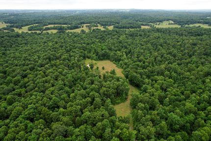 Timberland Property in Oregon County, Missouri