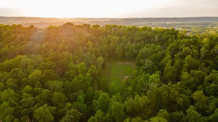 Timberland Property in Buffalo County, Wisconsin