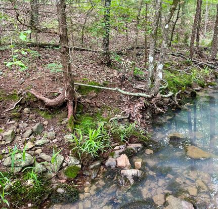 Timberland Property in Latimer County, Oklahoma