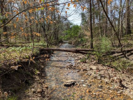 Undeveloped Land in Elmore County, Alabama