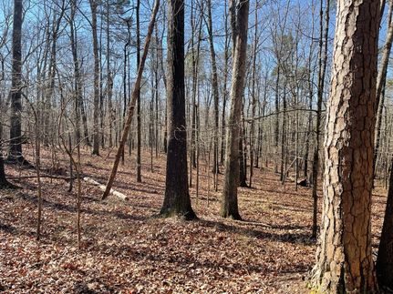 Land in Cleburne County, Alabama