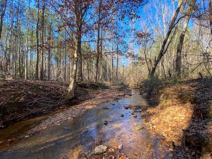 Undeveloped Land in Lee County, Alabama