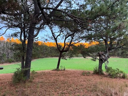 Farm and Ranch in Coosa County, Alabama