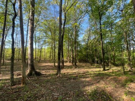 Undeveloped Land in Carroll County, Georgia