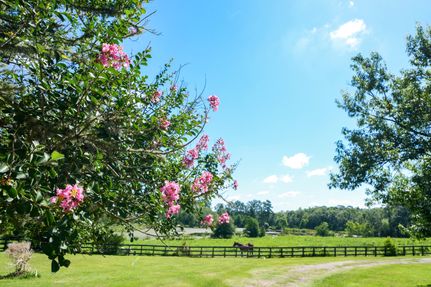 Farm and Ranch in Tyler County, Texas