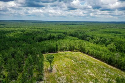 Undeveloped Land in Trinity County, Texas
