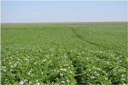 Farm and Ranch in Malheur County, Oregon