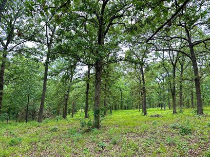 Hunting Property in Saint Clair County, Missouri