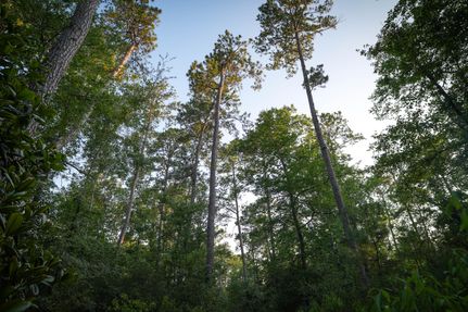 Hunting Property in Newton County, Texas