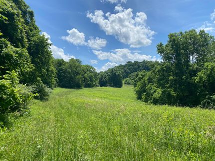 Timberland Property in Barbour County, West Virginia