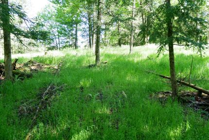 Farm and Ranch in Taylor County, Wisconsin