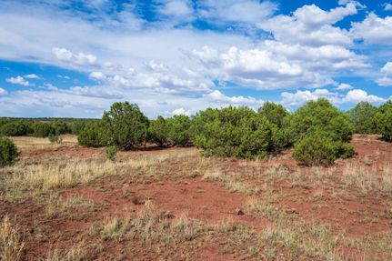 Farm and Ranch in Apache County, Arizona
