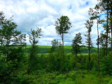 Undeveloped Land in Allegany County, New York