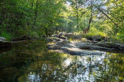 Recreational Property in Madison County, Missouri