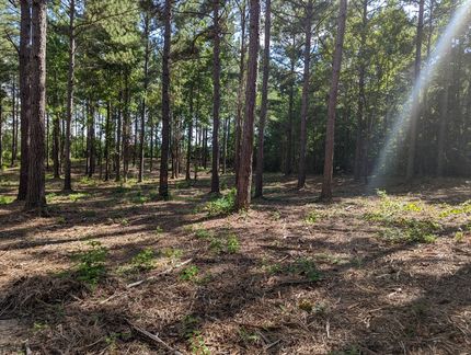 Undeveloped Land in Elmore County, Alabama