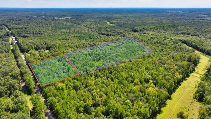 Undeveloped Land in Lee County, Alabama
