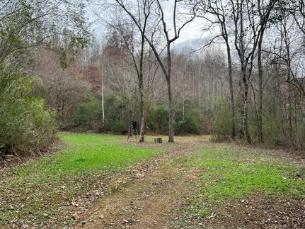 Undeveloped Land in Lauderdale County, Alabama