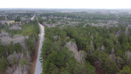 Undeveloped Land in Randolph County, Alabama