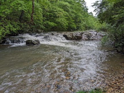 Hunting Property in Madison County, Missouri