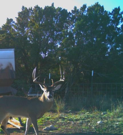 Farm and Ranch in Edwards County, Texas