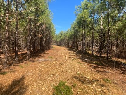 Recreational Property in Laurens County, Georgia