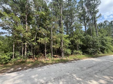 Farm and Ranch for sale in Hampton County, South Carolina