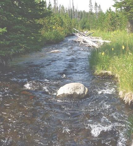 Riverfront Property in Park County, Wyoming