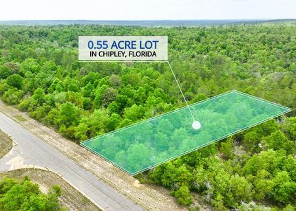 Undeveloped Land in Washington County, Florida