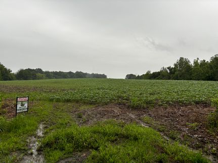 Land in Williamson County, Illinois
