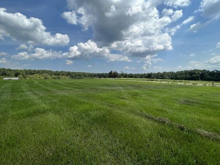 Timberland Property in Baldwin County, Alabama