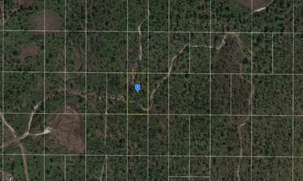 Undeveloped Land in Polk County, Florida