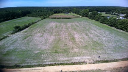 Land for sale in Florence County, South Carolina