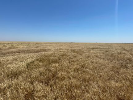Farm and Ranch in Finney County, Kansas