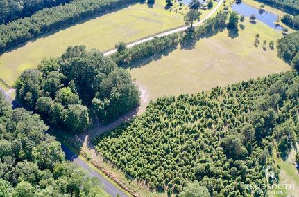 Undeveloped Land in Jasper County, South Carolina