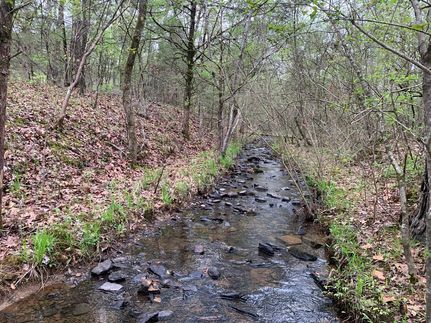 Undeveloped Land in Van Buren County, Arkansas