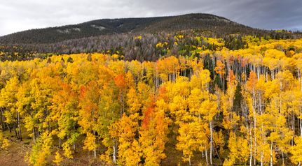 Waterfront Property in Gunnison County, Colorado