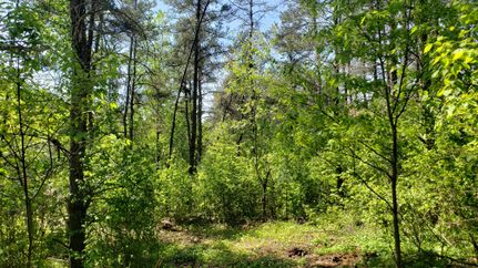 Hunting Property in Oneida County, Wisconsin