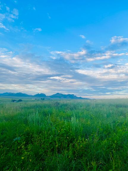 Timberland Property for sale in Santa Cruz County, Arizona