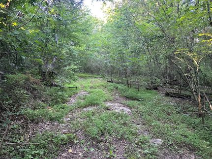 Timberland Property in Marion County, Tennessee
